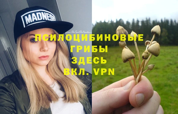 соль курить ск Арсеньев